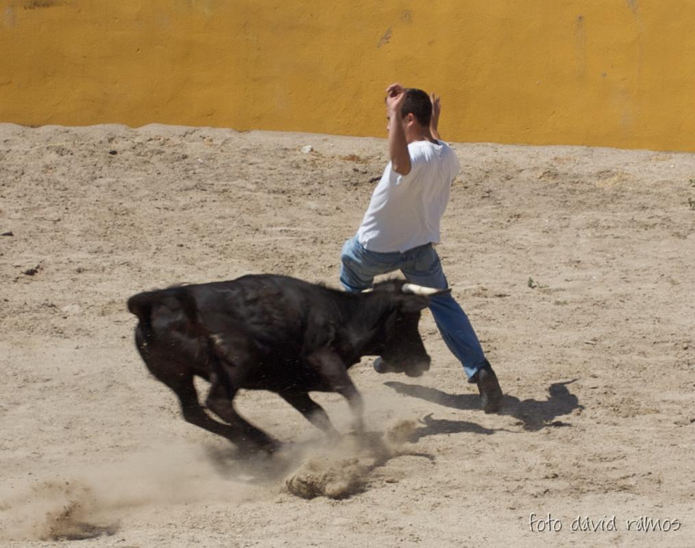 P4250828.jpg