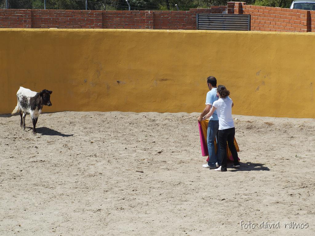 P4250849.jpg