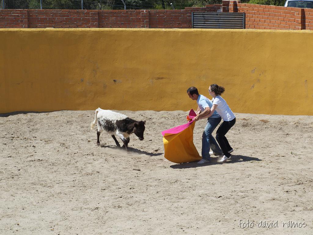 P4250850.jpg
