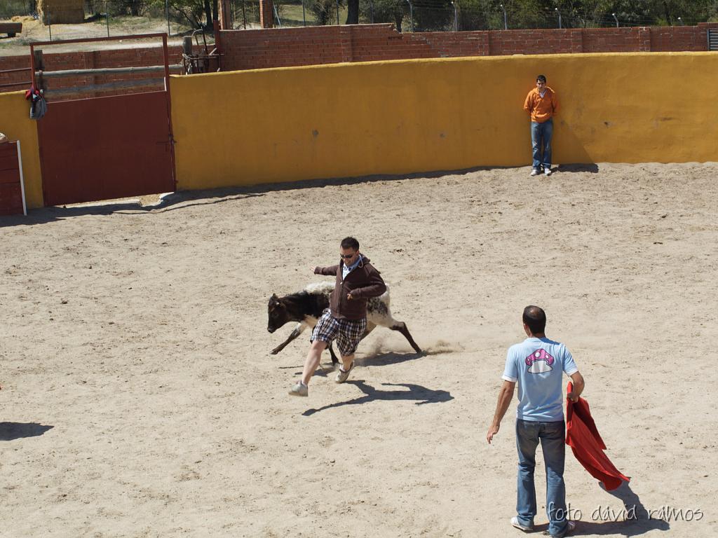 P4250867.jpg