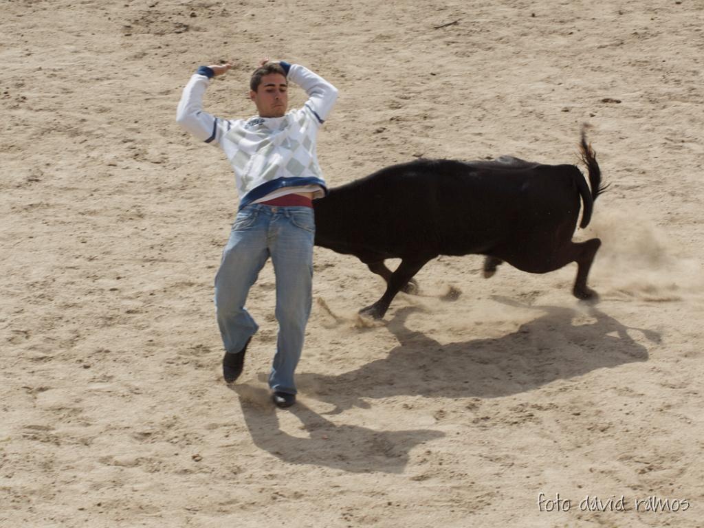 P4250915.jpg