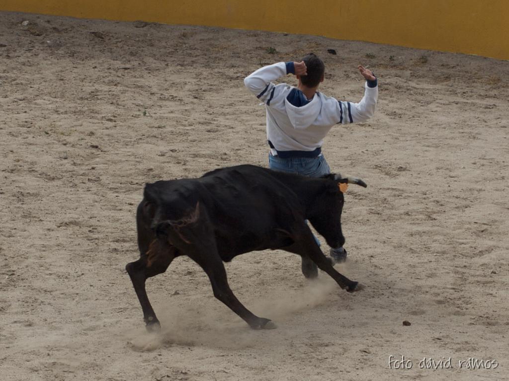 P4250924.jpg