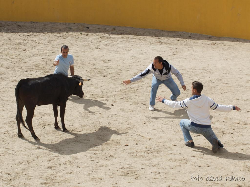 P4250938.jpg