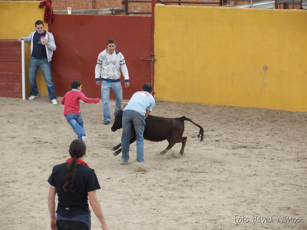 P4250975.jpg