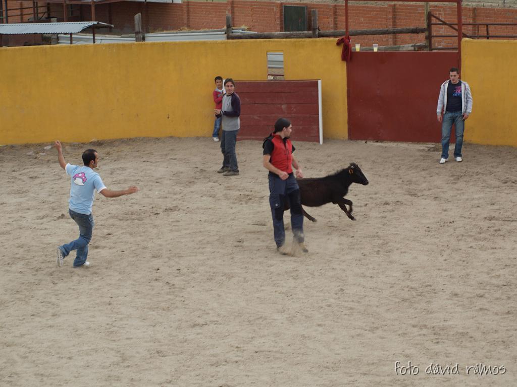 P4250980.jpg