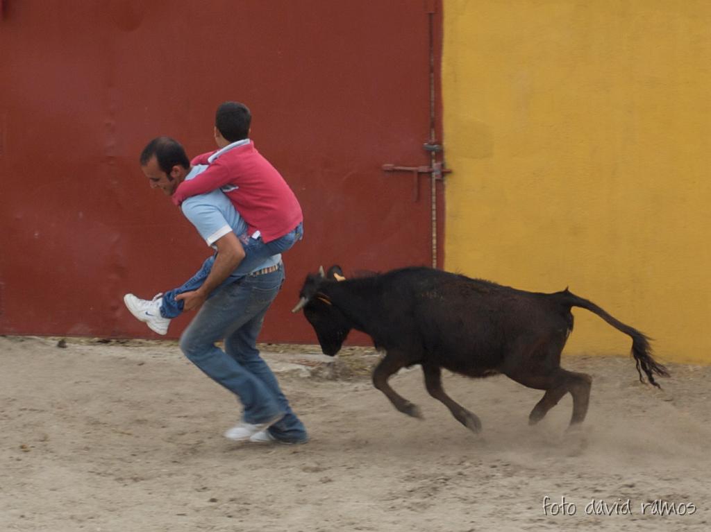 P4250997.jpg