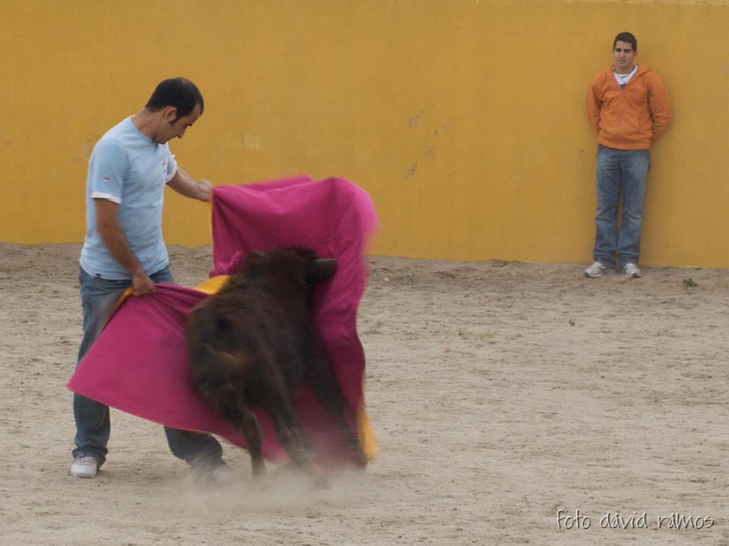 P4251022.jpg