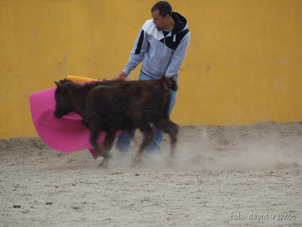 P4251029.jpg