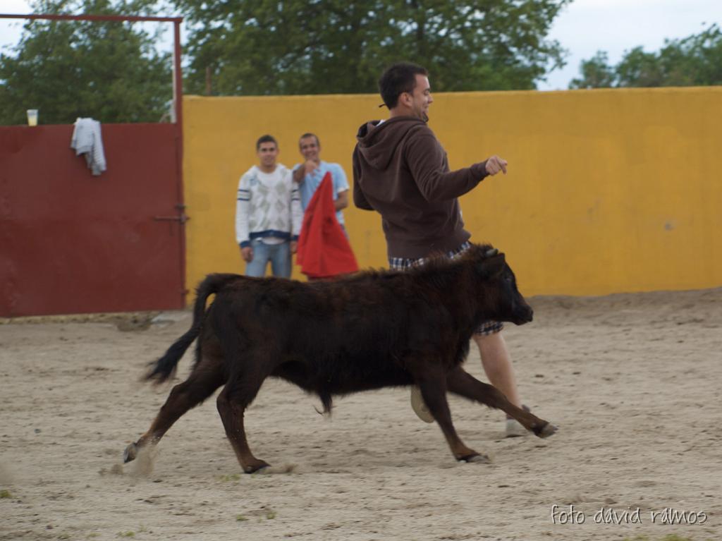 P4251039.jpg
