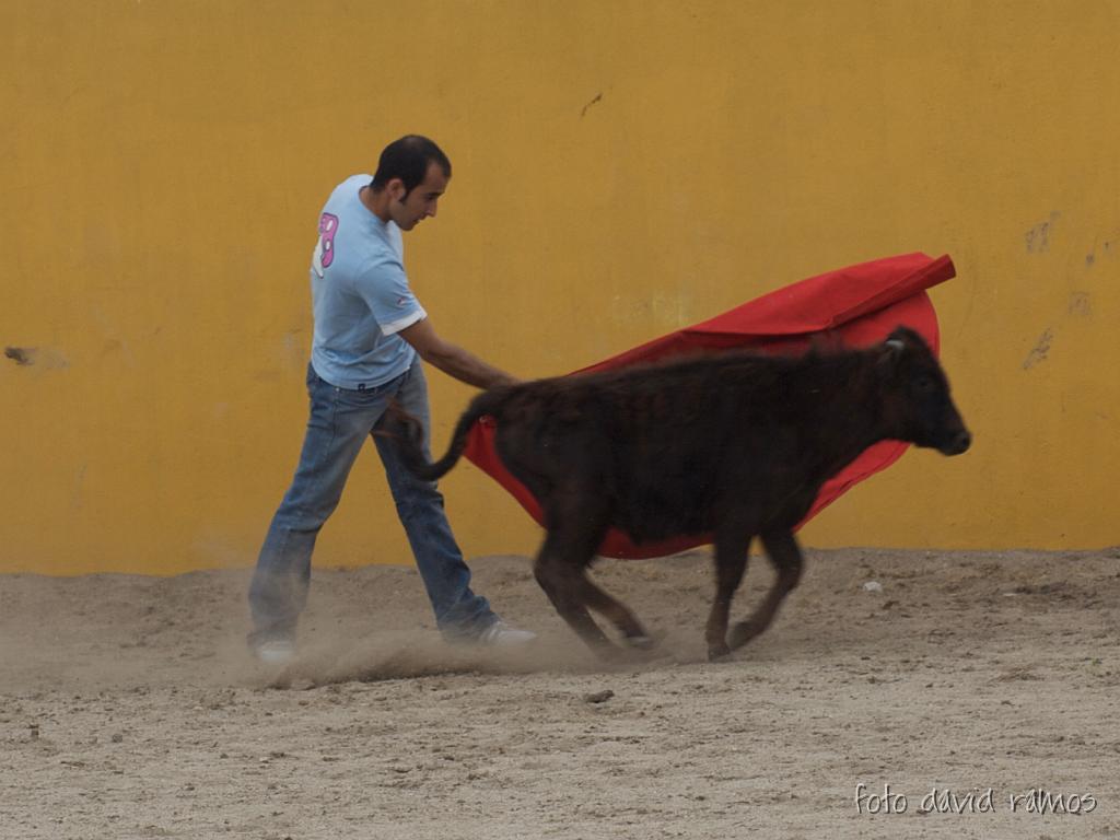 P4251042.jpg