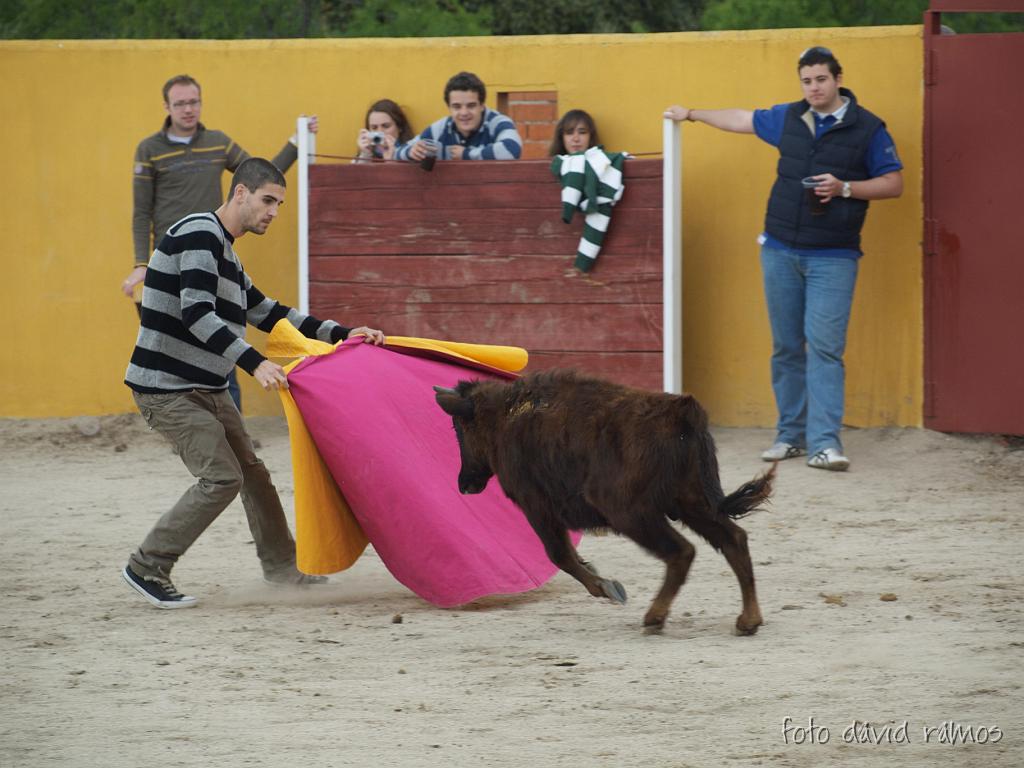 P4251047.jpg