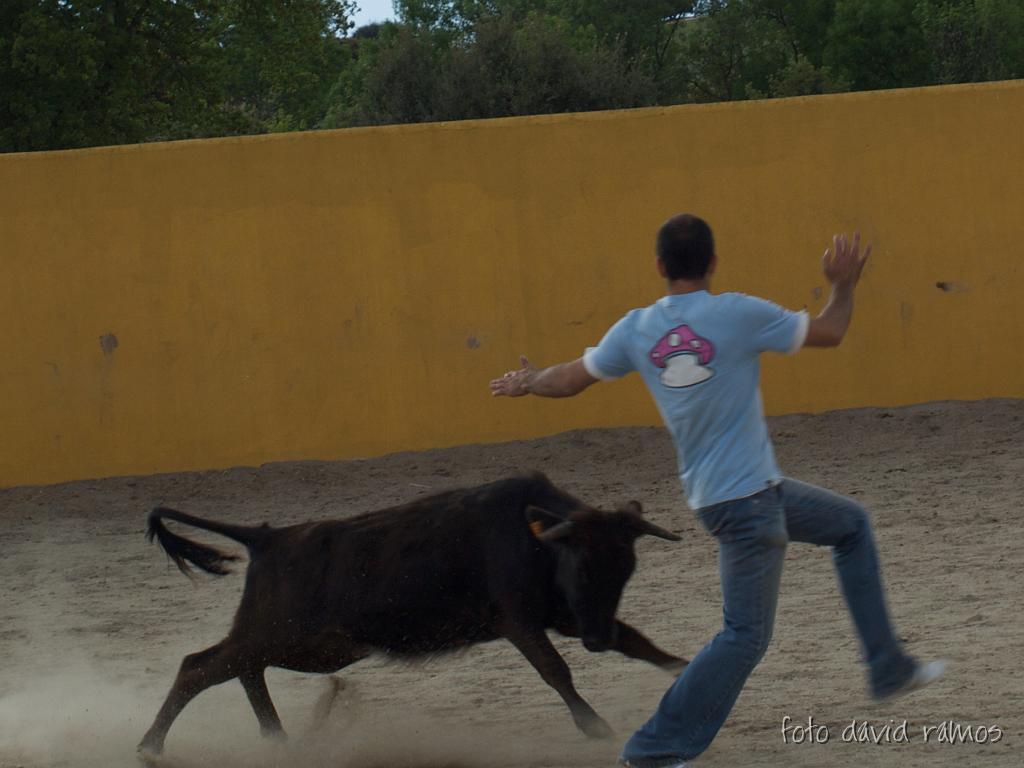 P4251066.jpg