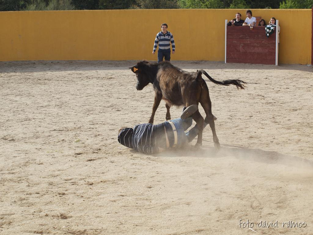 P4251079.jpg