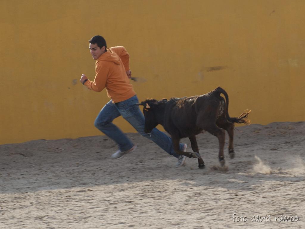 P4251107.jpg