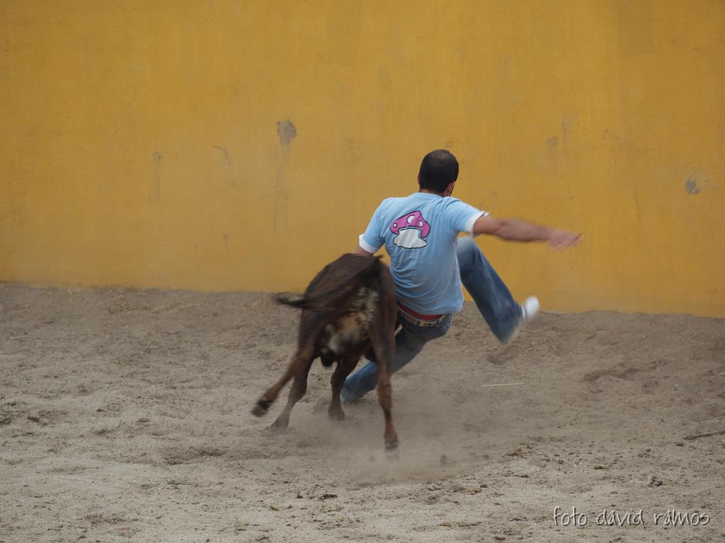 P4250984.jpg