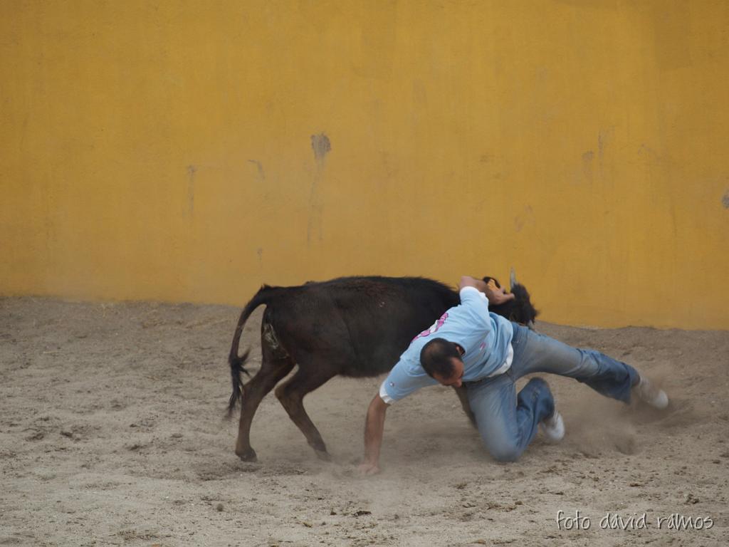 P4250985.jpg