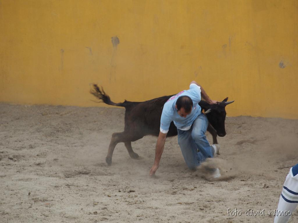 P4250986.jpg