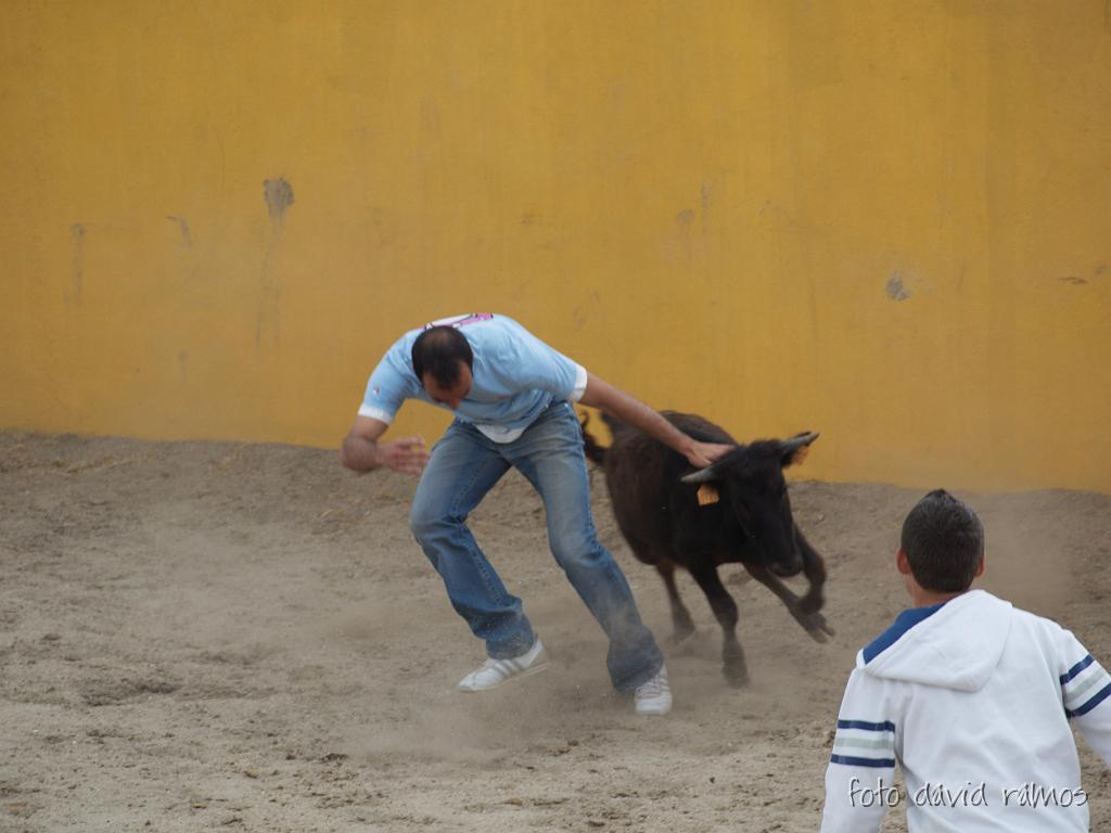 P4250987.jpg