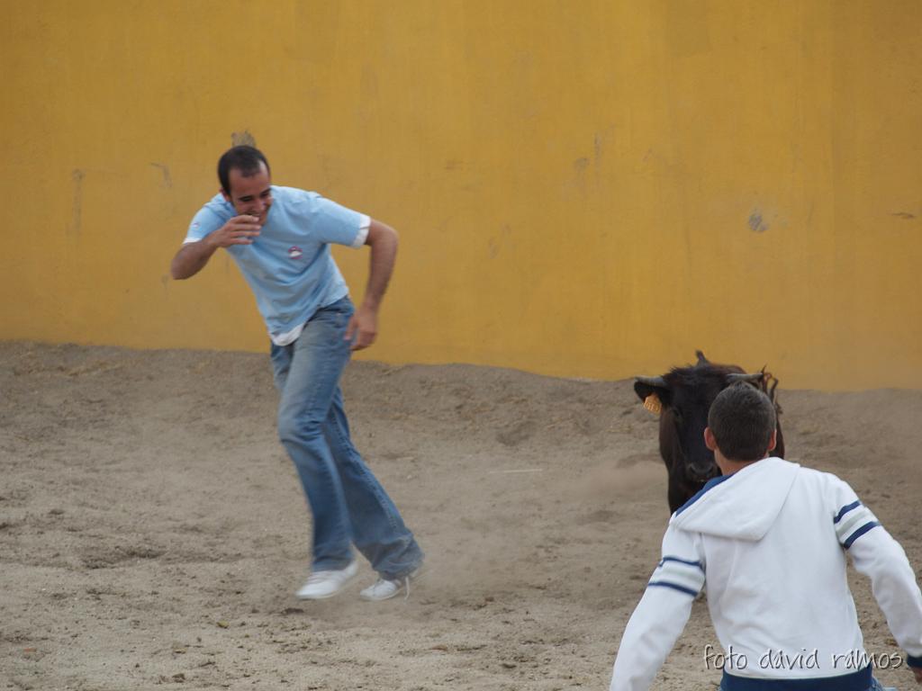 P4250988.jpg