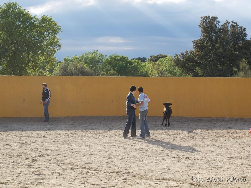 P4251153.jpg