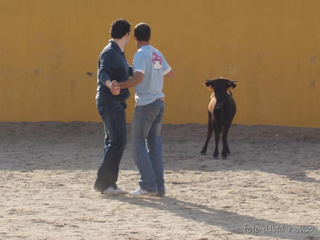 P4251154.jpg
