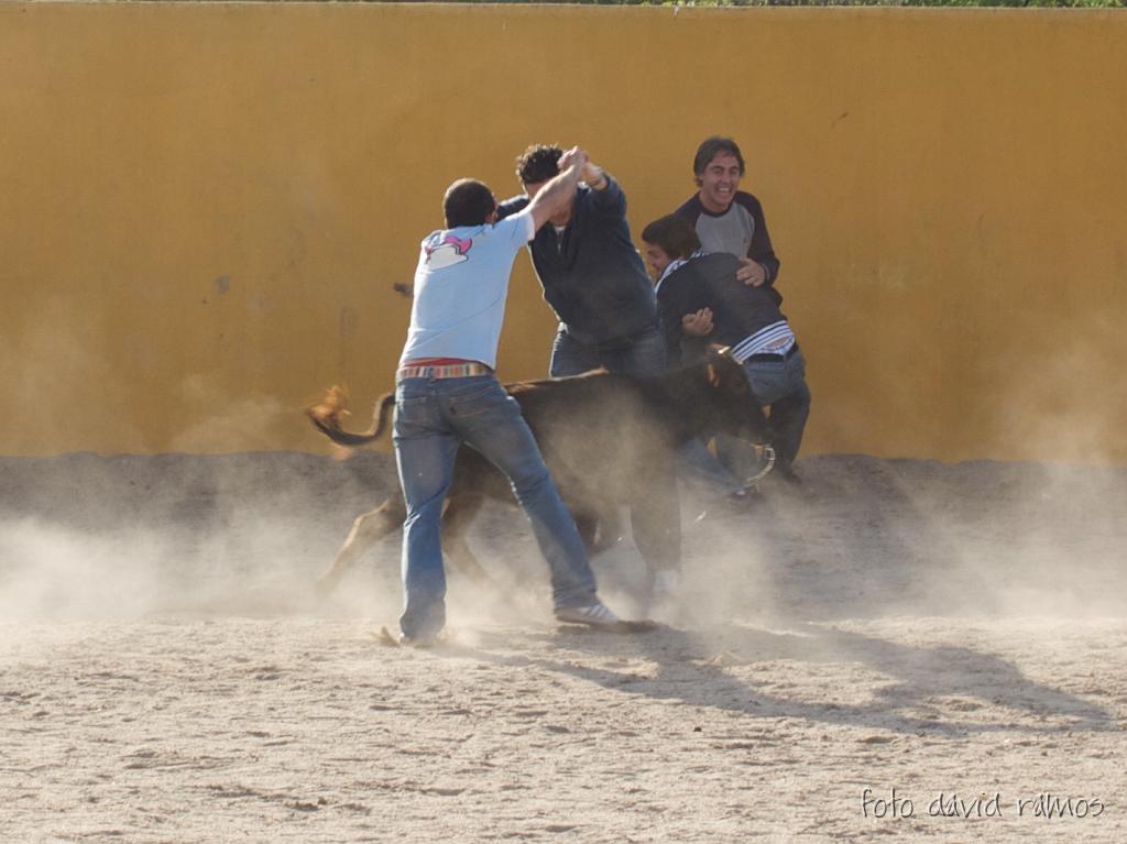 P4251157.jpg
