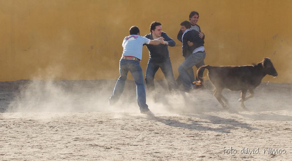 P4251158.jpg
