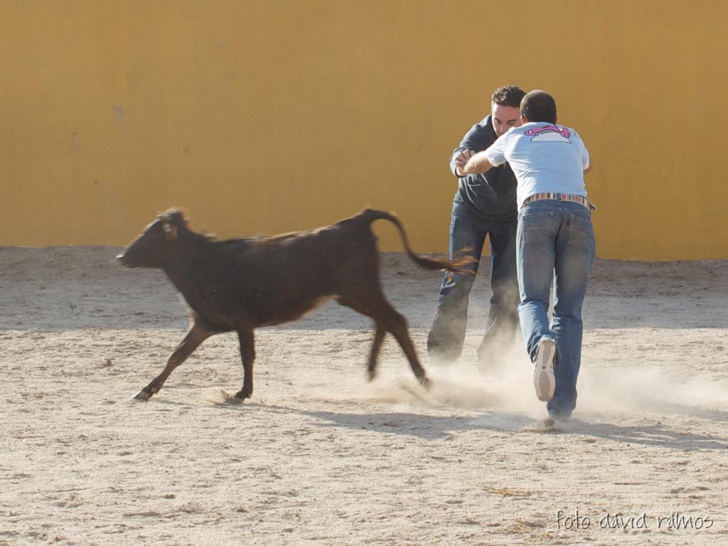 P4251159.jpg