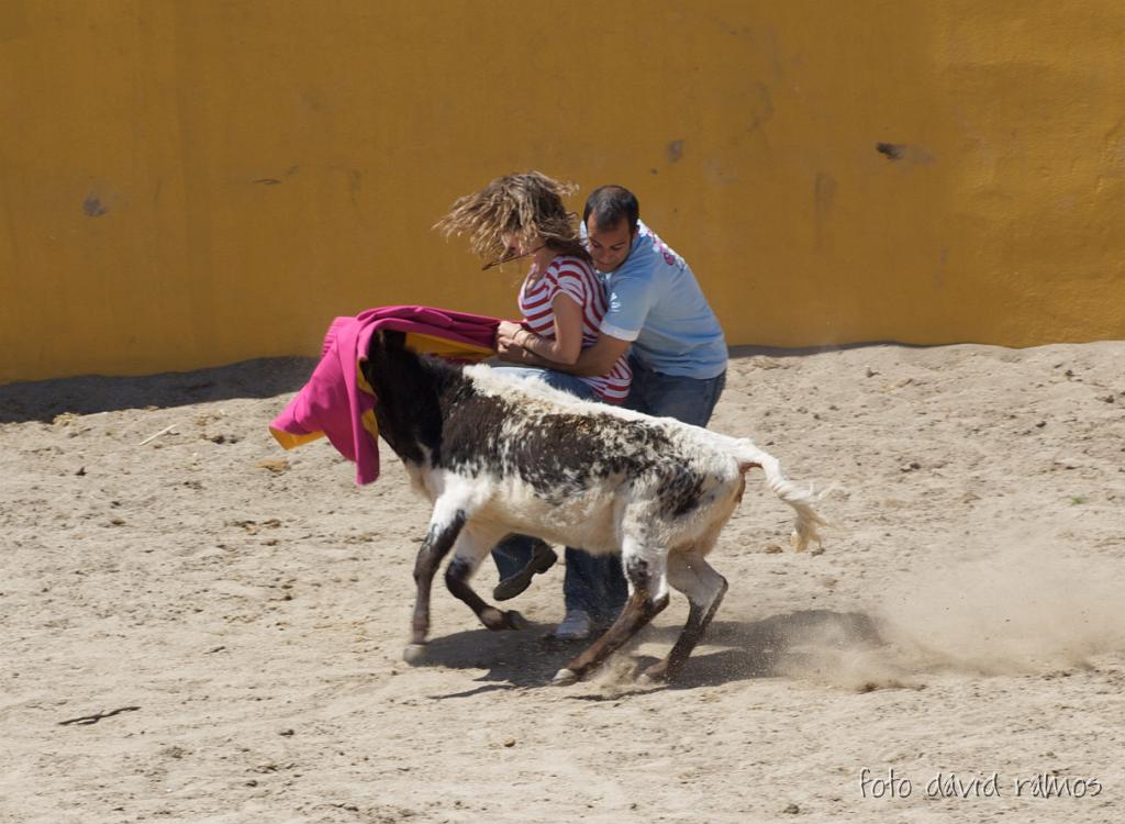 P4250894.jpg