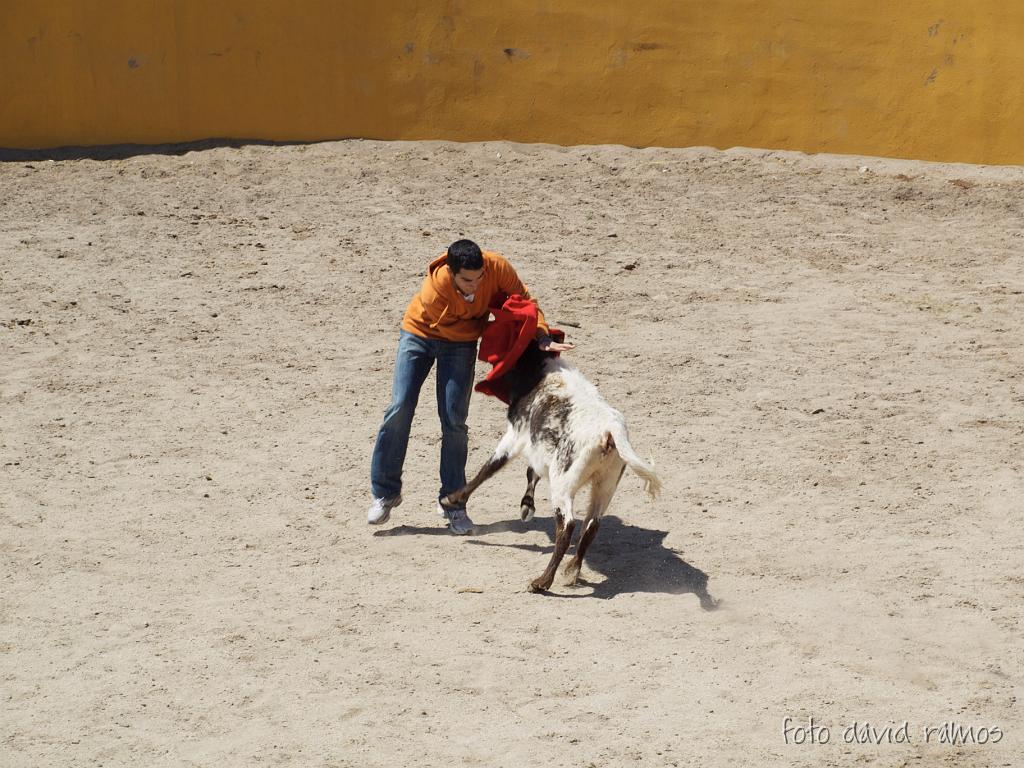 P4250857.jpg