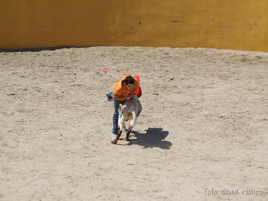 P4250858.jpg