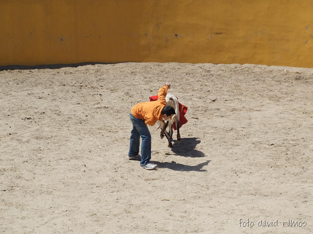 P4250859.jpg