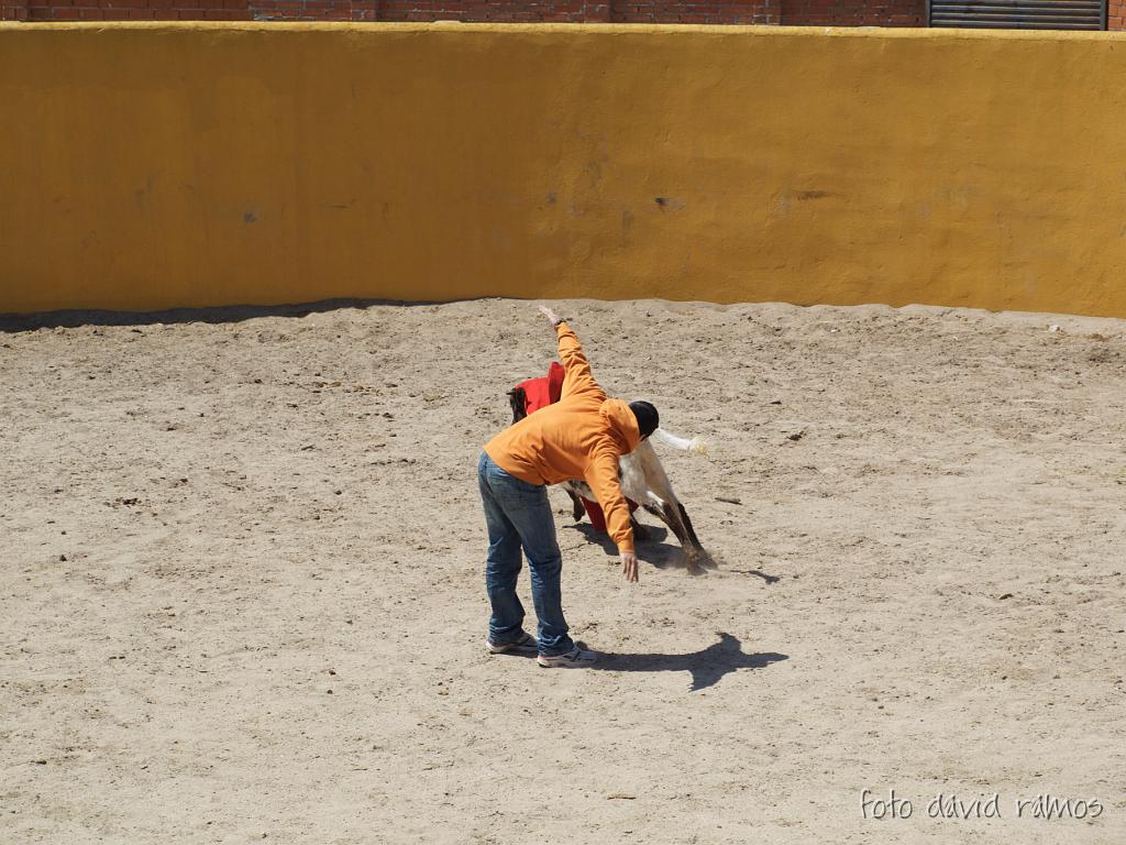 P4250860.jpg